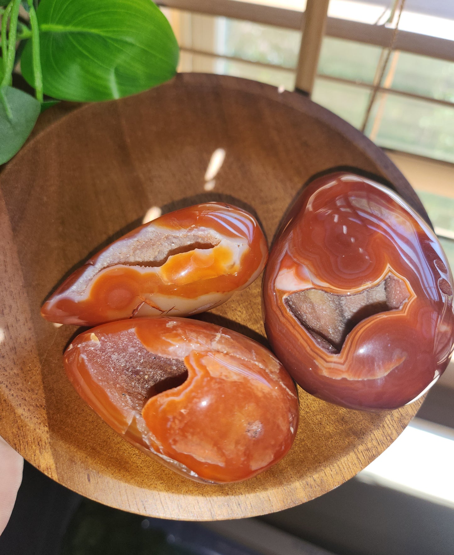 Carnelian Geode Eggs