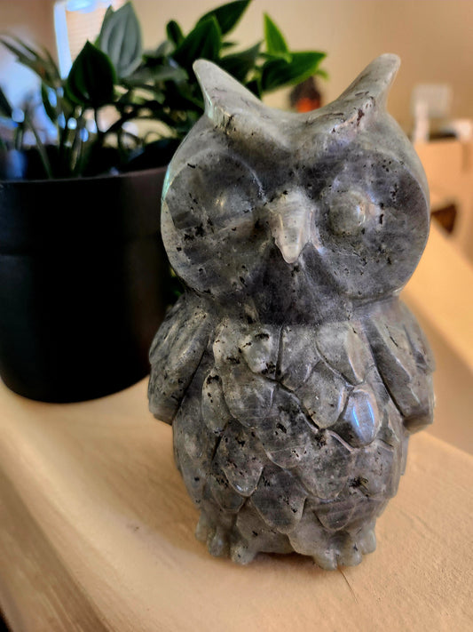 Labradorite Owl