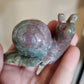 Large Jasper Snails