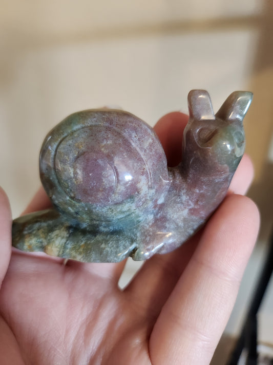 Large Jasper Snails