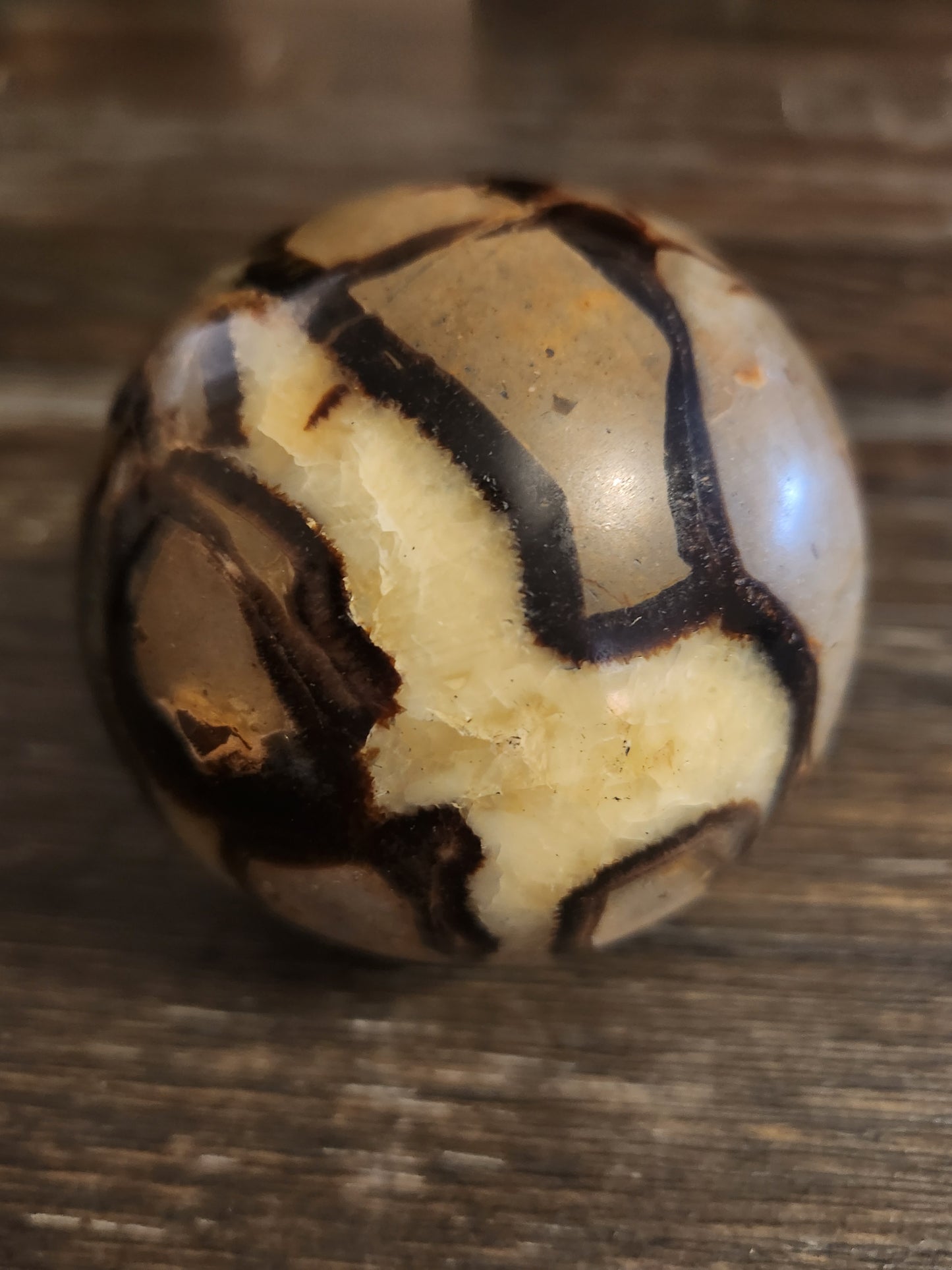 Septarian Spheres