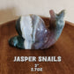 Large Jasper Snails