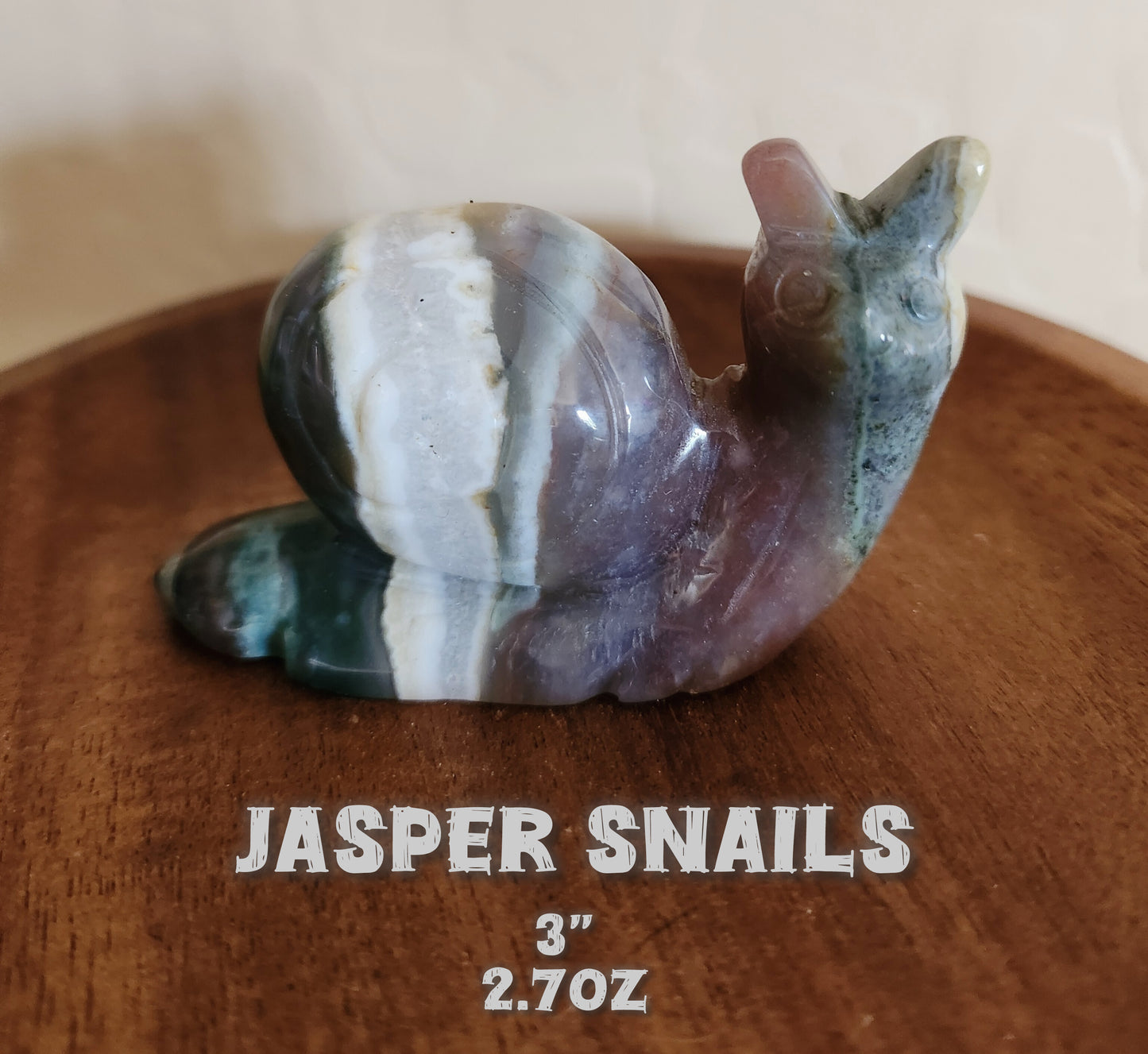 Large Jasper Snails