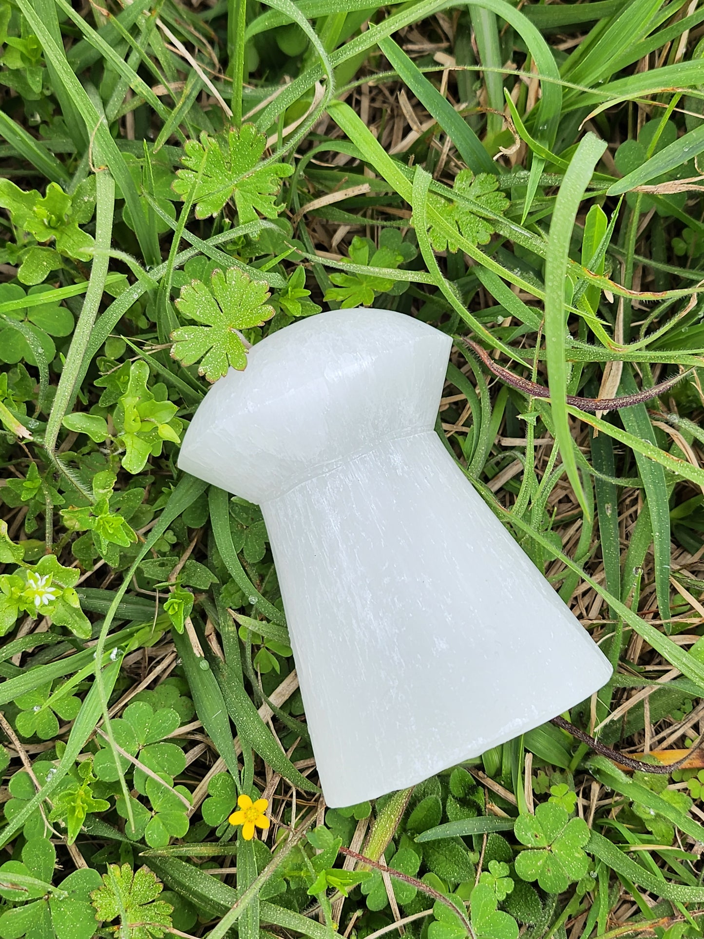 Selenite Mushroom