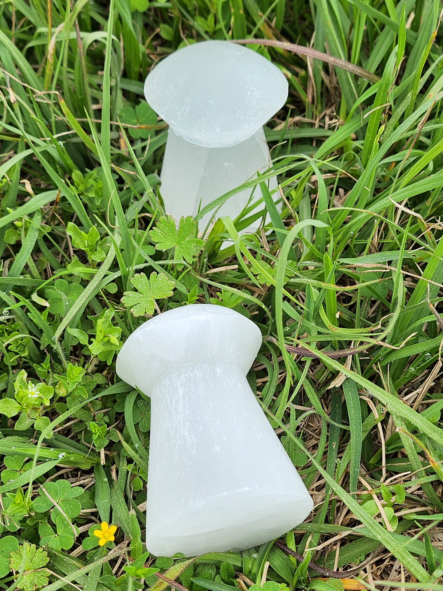 Selenite Mushroom